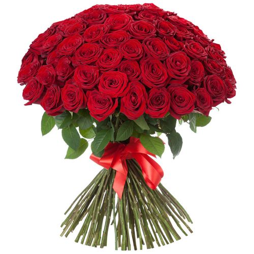 Купить 101 красную розу с доставкой по Новому Осколу
