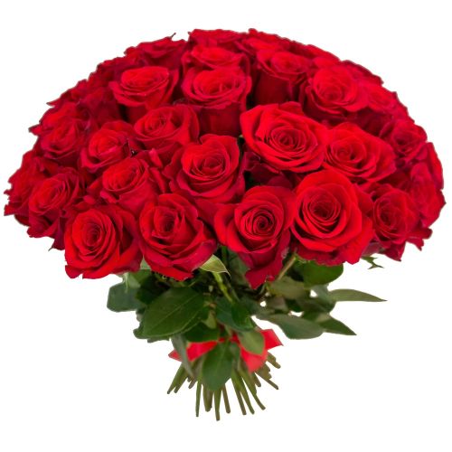 Букет из 51 розы - купить с доставкой по Новому Осколу